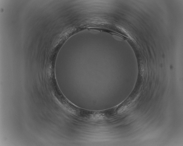 X0000075830451200609221644