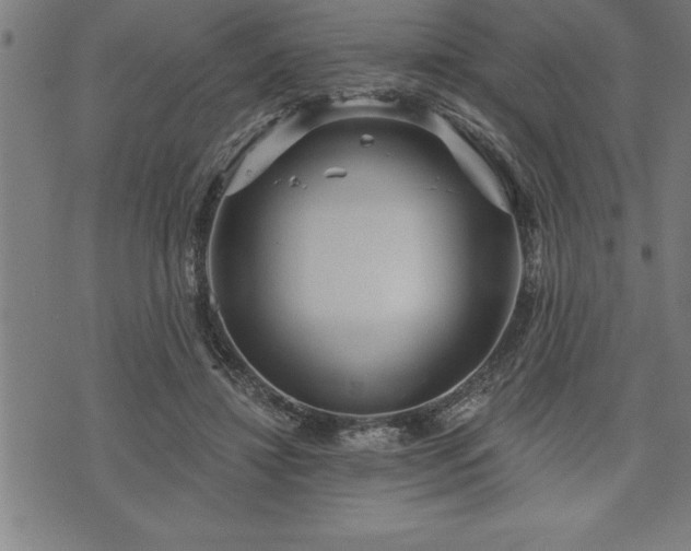 X0000075830452200609221644