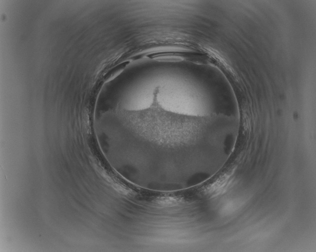 X0000075830453200609221644