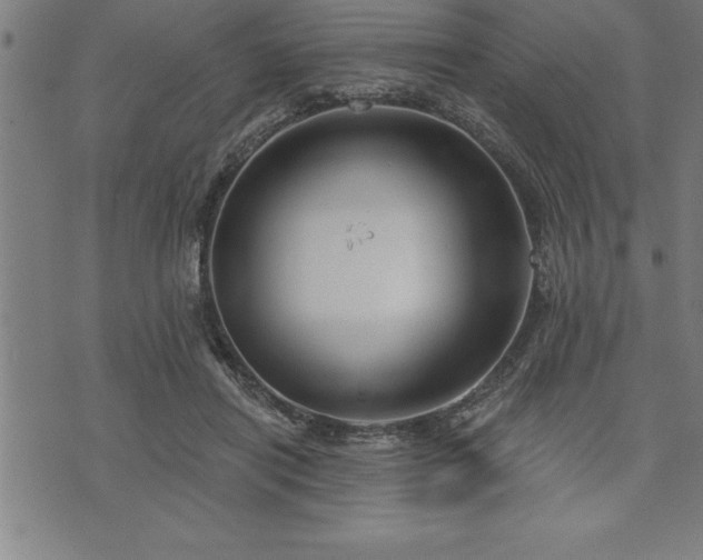 X0000075830454200609221644