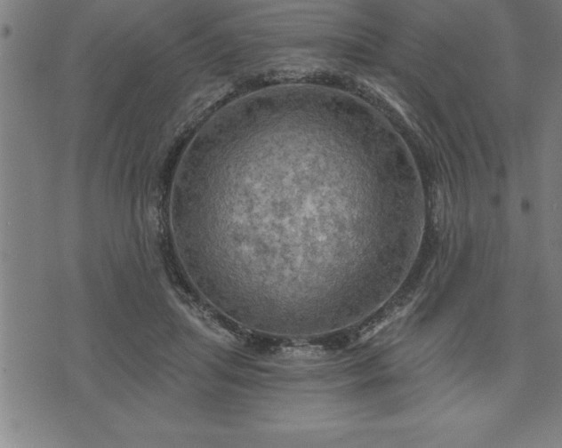 X0000075830455200609221644