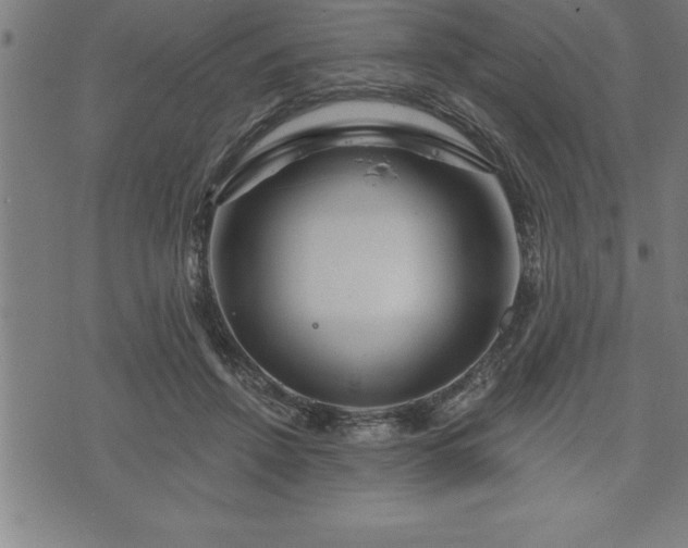 X0000075830456200609221644