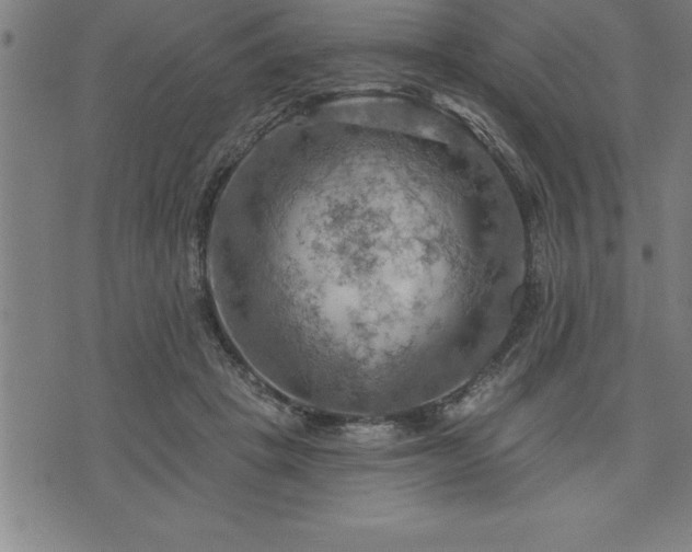 X0000075830457200609221644