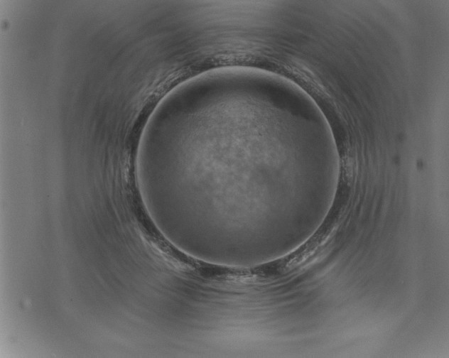 X0000075830458200609221644