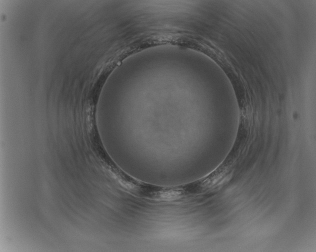 X0000075830462200609221644