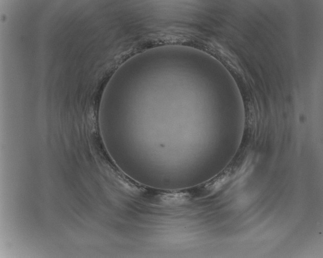 X0000075830465200609221644