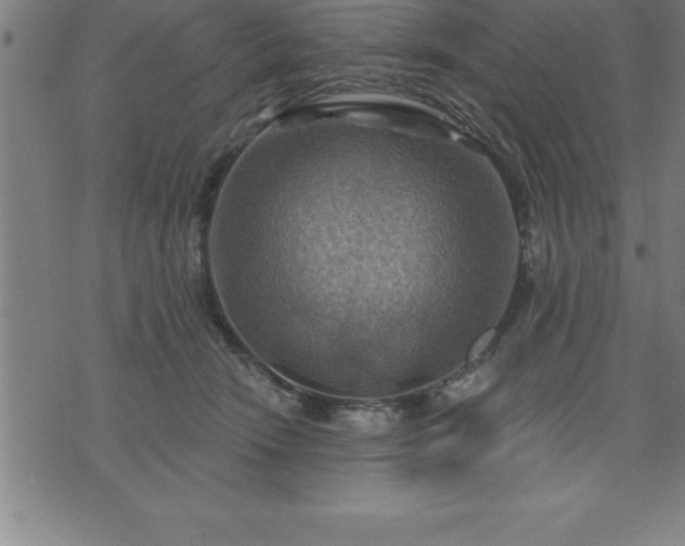 X0000075830466200609221644