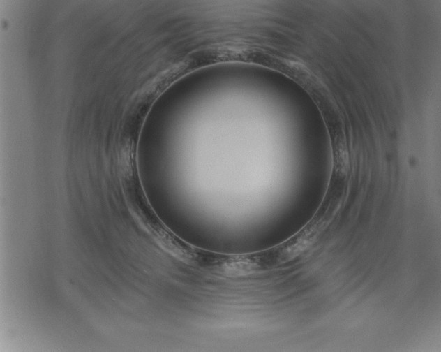 X0000075830468200609221644