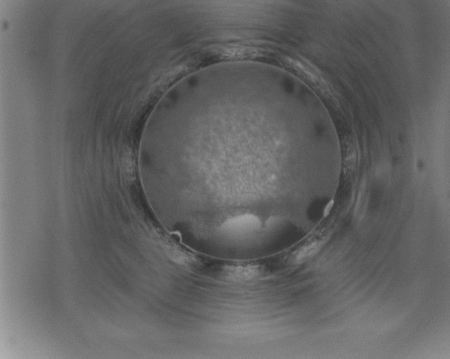 X0000075830469200609221644