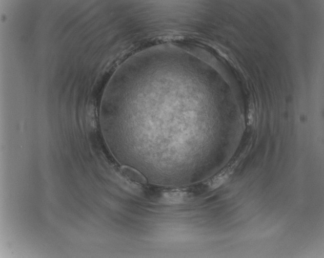 X0000075830470200609221644