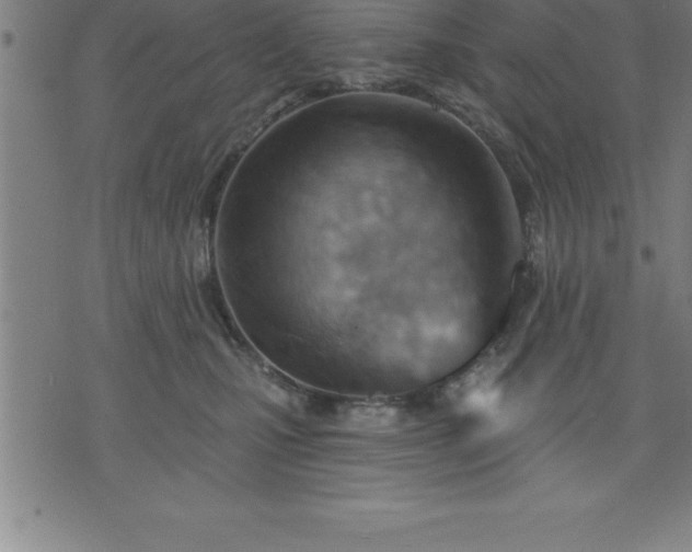 X0000075830471200609221644