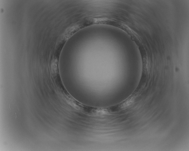 X0000075830475200609221644