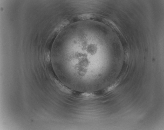 X0000075830477200609221644