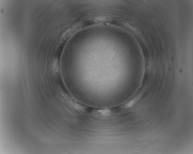 X0000075830478200609221644