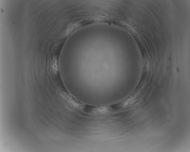 X0000075830479200609221644