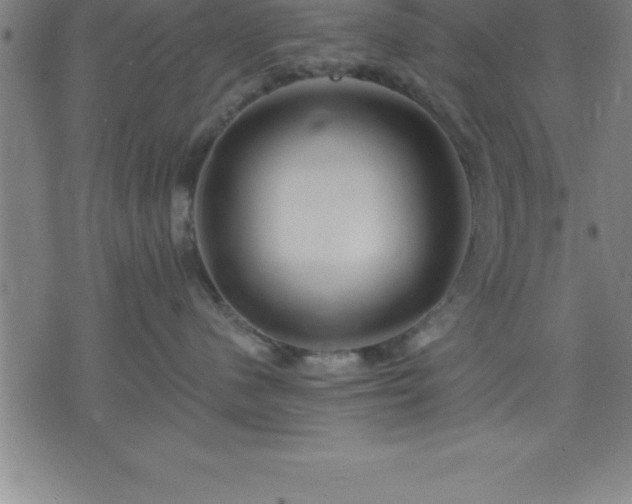 X0000075830480200609221644