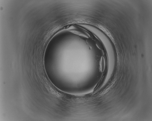 X0000075830481200609221644