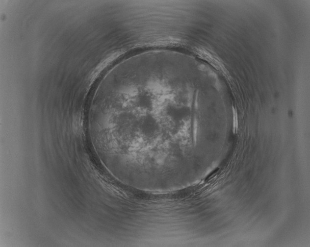 X0000075830483200609221644