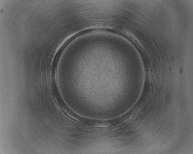 X0000075830484200609221644