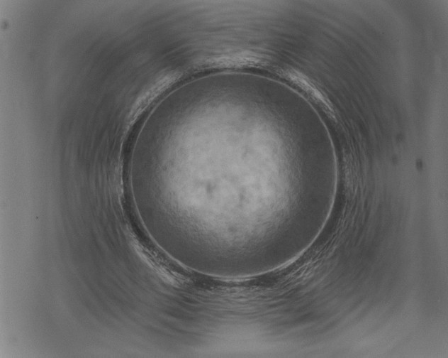 X0000075830486200609221644