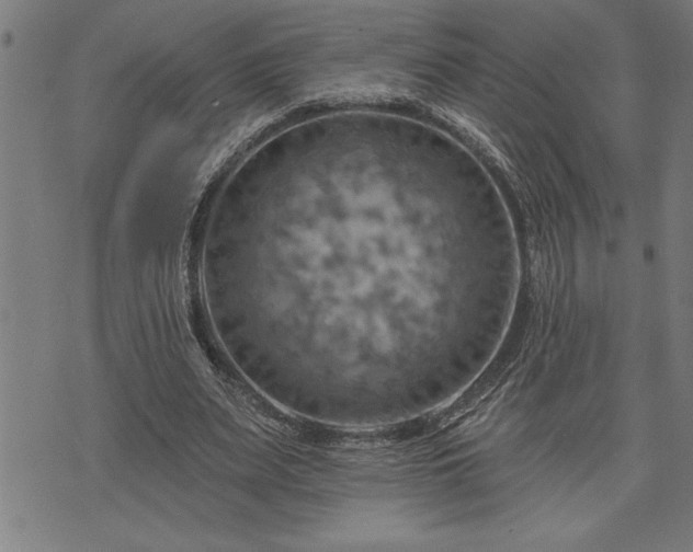 X0000075830487200609221643