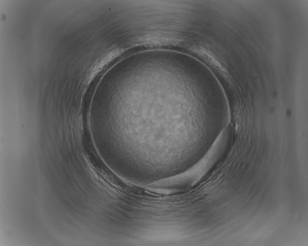 X0000075830488200609221643