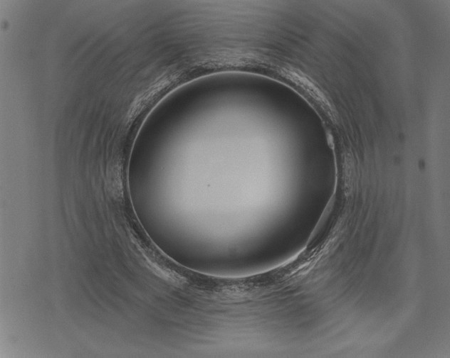 X0000075830489200609221643