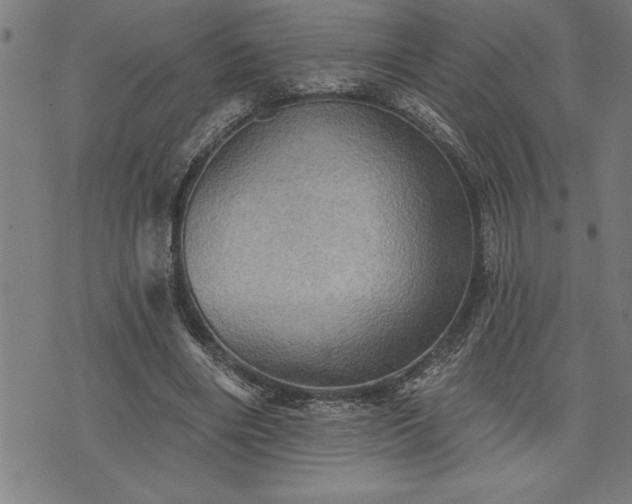 X0000075830490200609221643