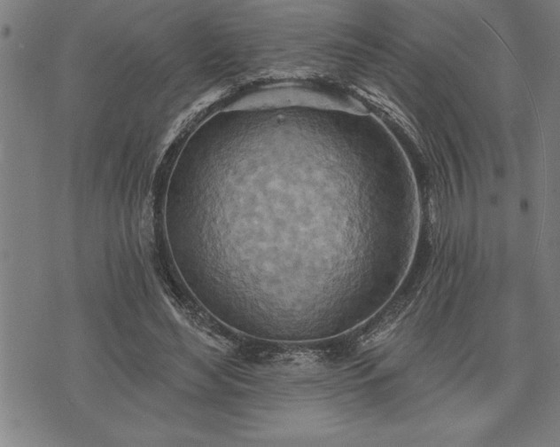 X0000075830492200609221643