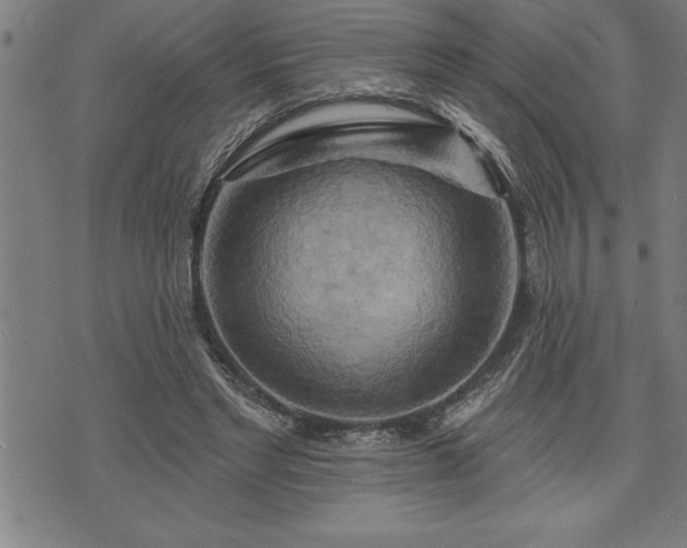 X0000075830493200609221643