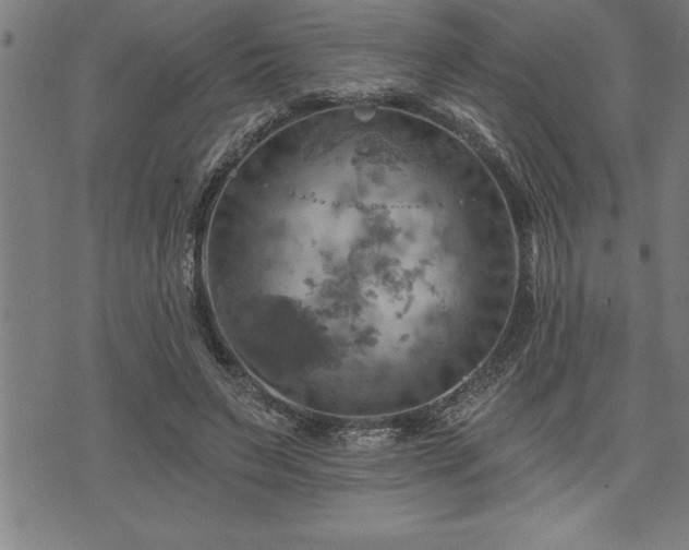 X0000075830495200609221643