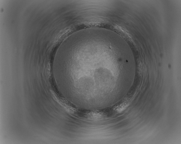 X0000075830498200609221643