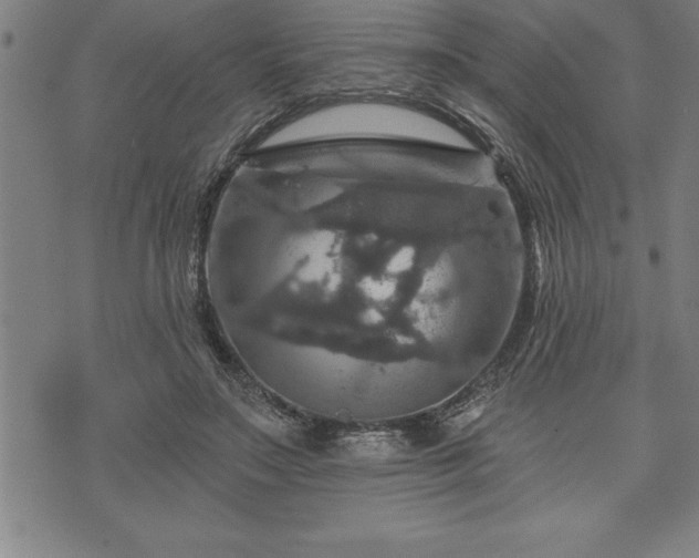 X0000075830499200609221643