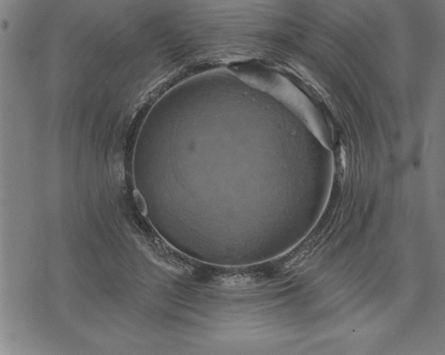 X0000075830500200609221643