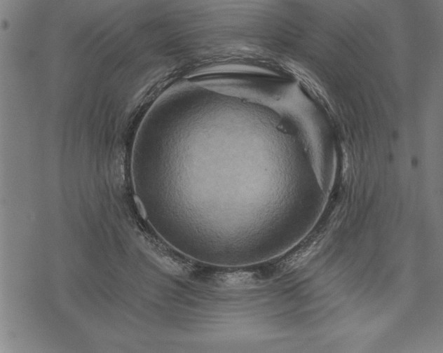 X0000075830501200609221643