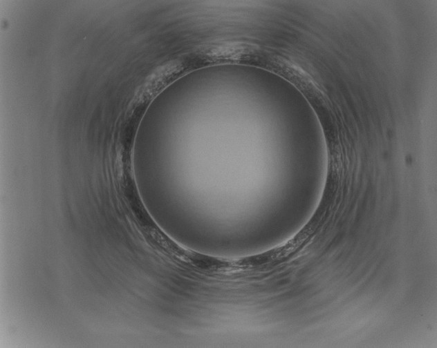 X0000075830504200609221643