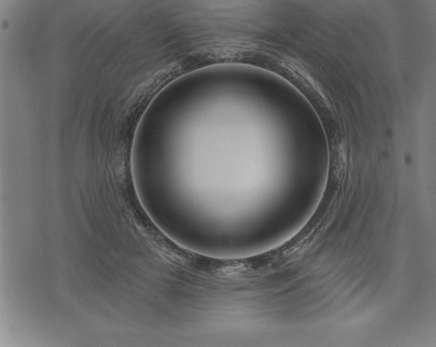 X0000075830505200609221643