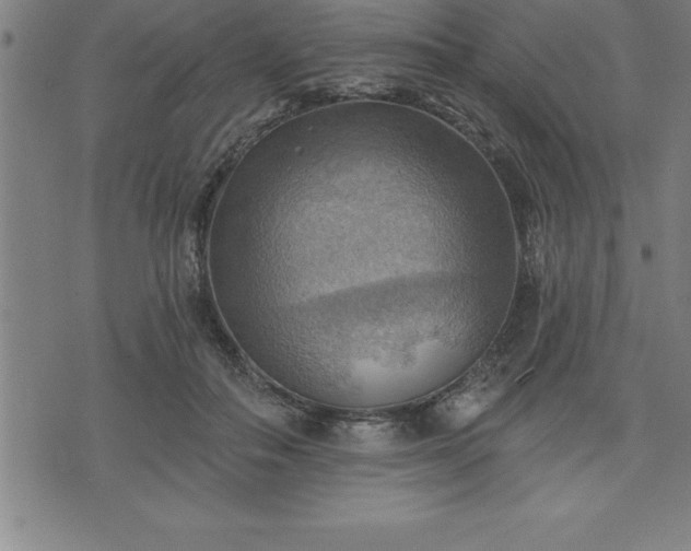 X0000075830506200609221643