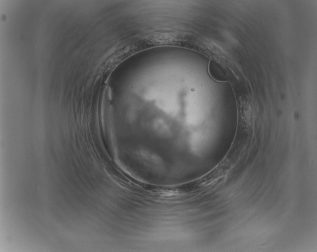 X0000075830507200609221643