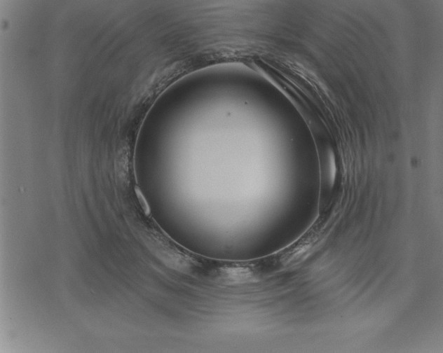 X0000075830509200609221643