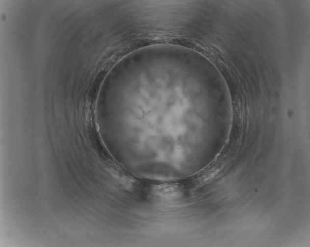 X0000075830511200609221643