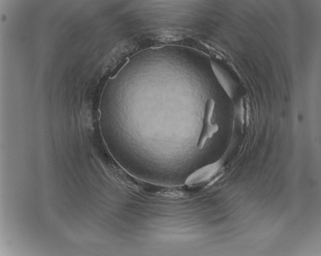 X0000075830512200609221643