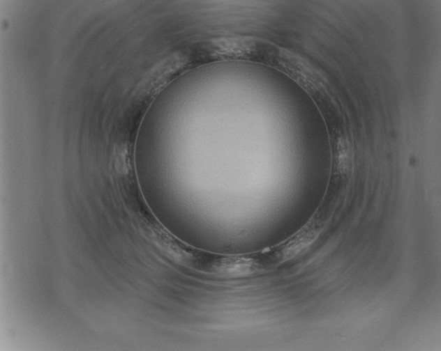 X0000075830514200609221643