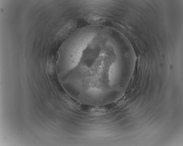 X0000075830515200609221643