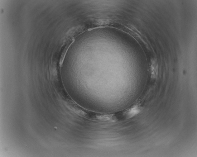 X0000075830516200609221643