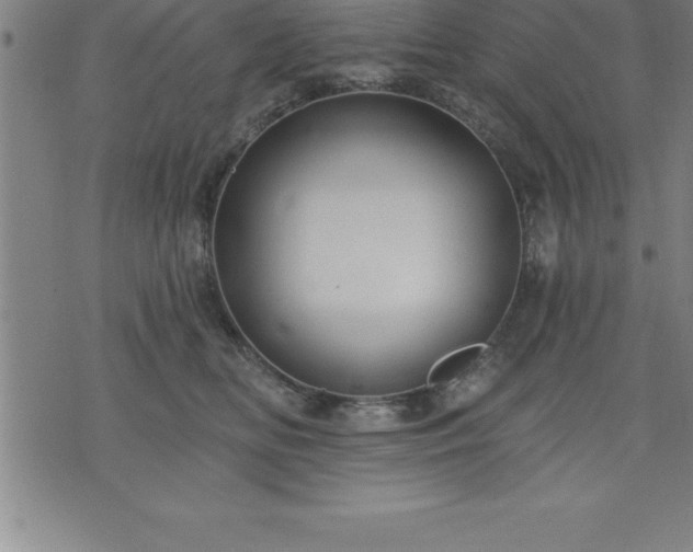 X0000075830518200609221643