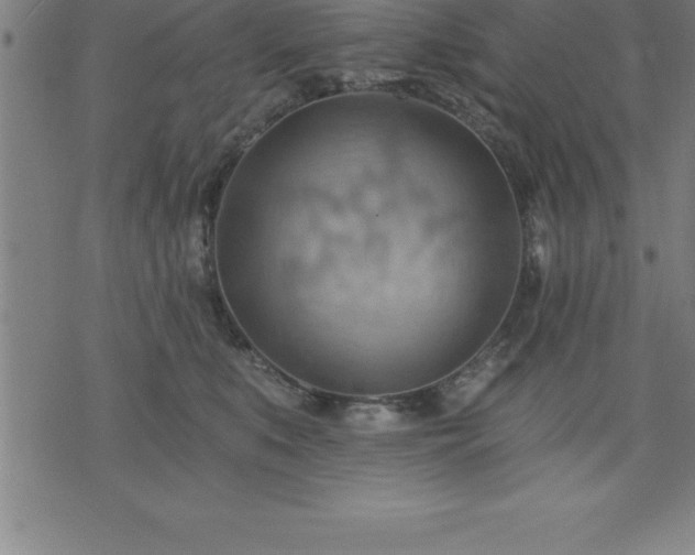 X0000075830519200609221643