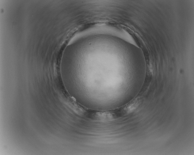 X0000075830520200609221643