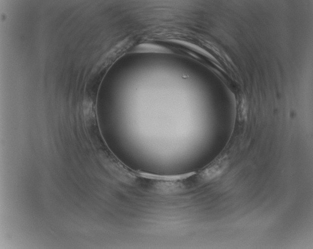 X0000075830521200609221643