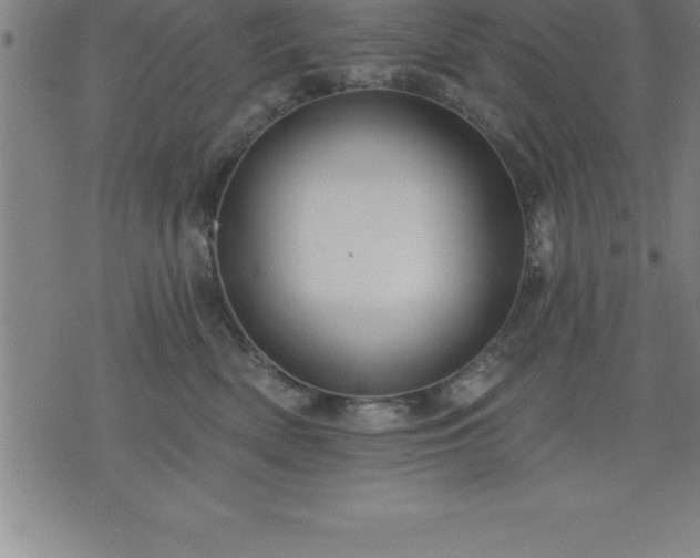 X0000075830522200609221643